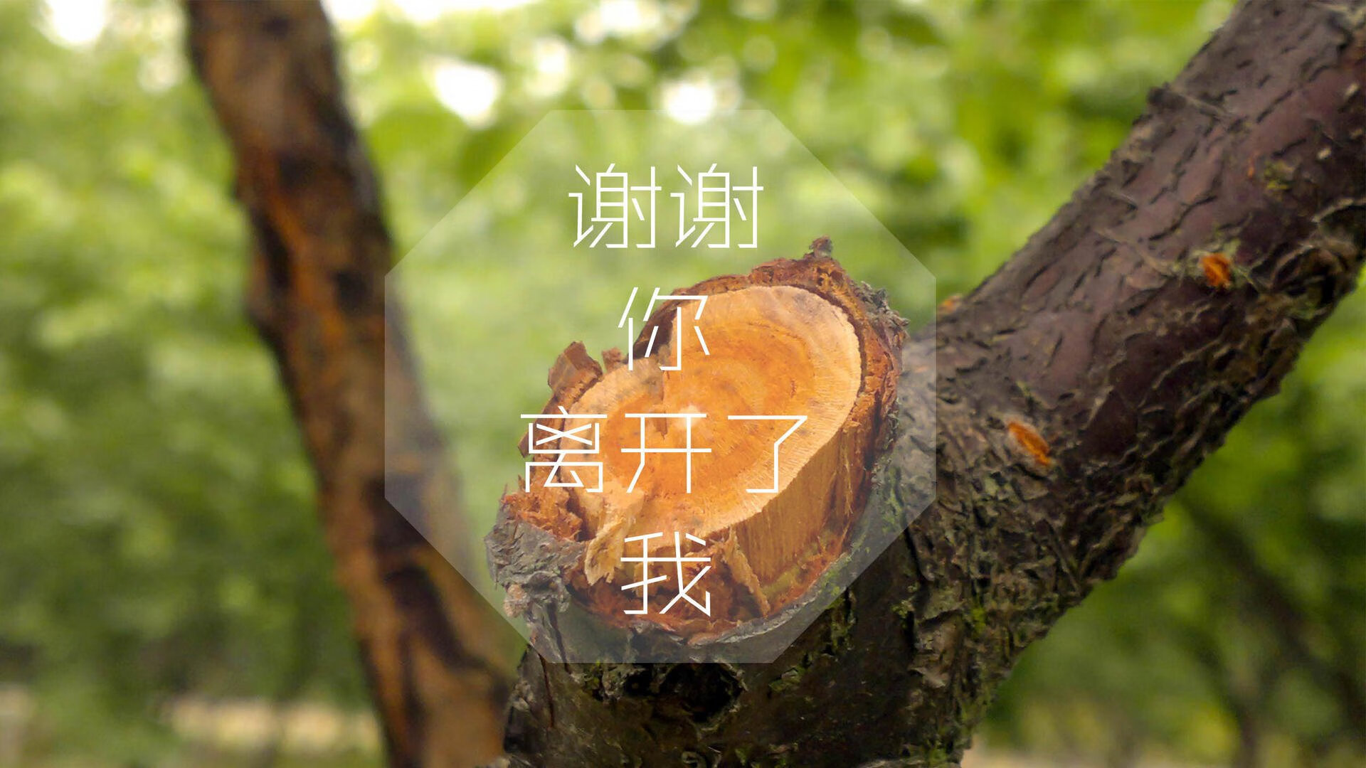 开云·体育官网APP下载-荒野行动“全民突击”线上线下联动总决赛火爆开启，刺激战场全军出击荒野行动
