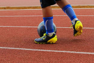 开云·Kaiyun网页版-校园足球缺乏横向联赛结构支撑,我国校园足球训练存在的问题