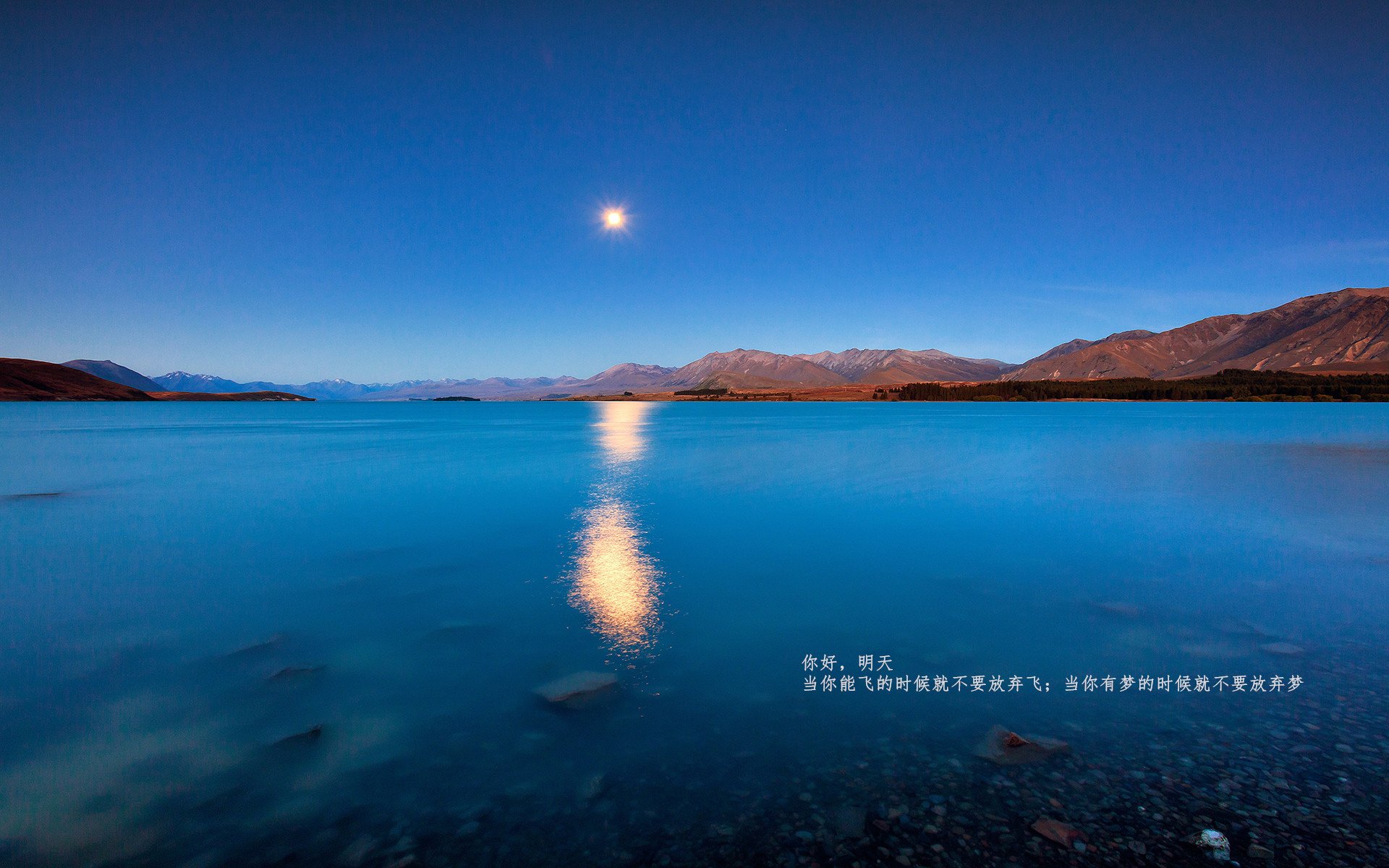 开云体育网页版入口-职业球员对战术执行理解力为何参差不齐,球赛战术