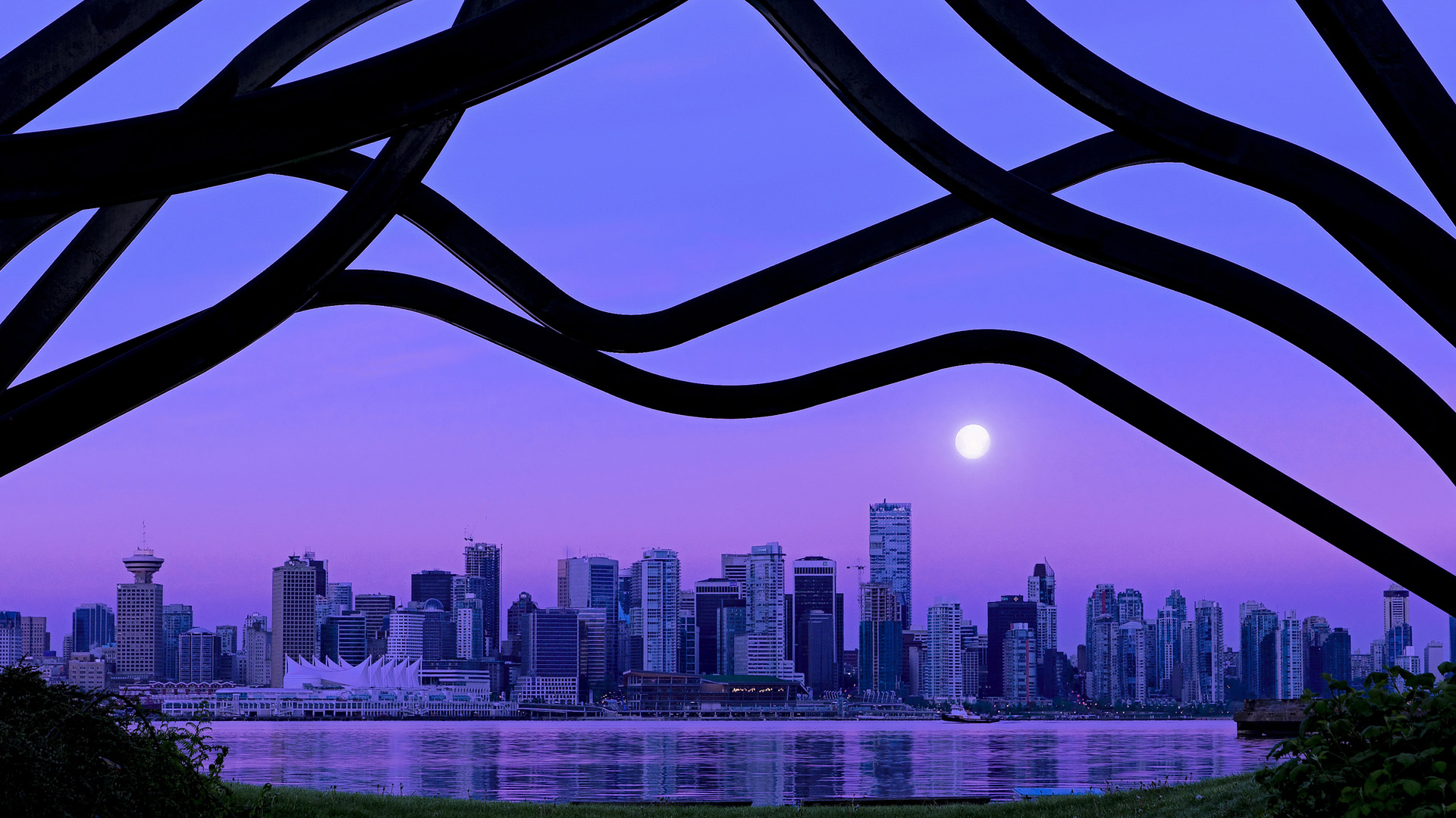 开云体育在线赛事直播-“彼得森再度证明自己,成为南非队的未来之星”