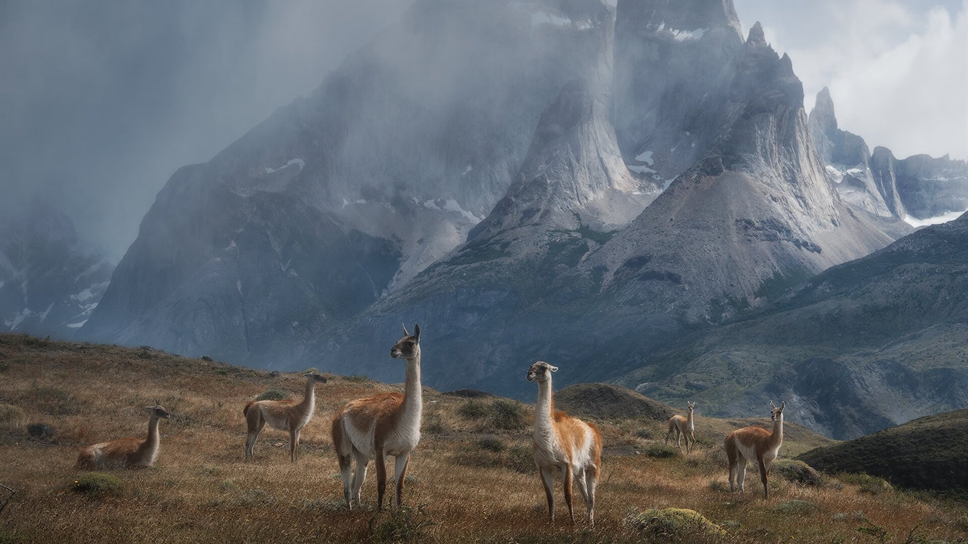 开云·体育官网-世界杯惊天逆转:坚持到底,梦想成真,世界杯瞬间