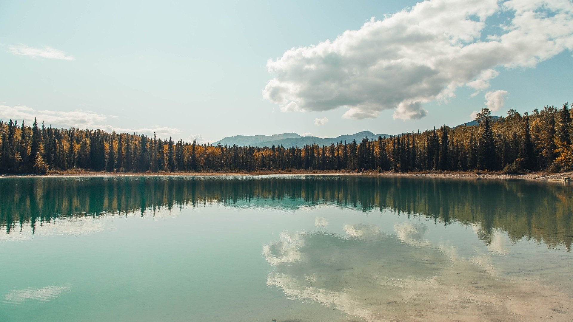 开云官方网站-篮球文化宣传活动持续推进增强群众参与感和归属感,篮球活动宣传文稿范文