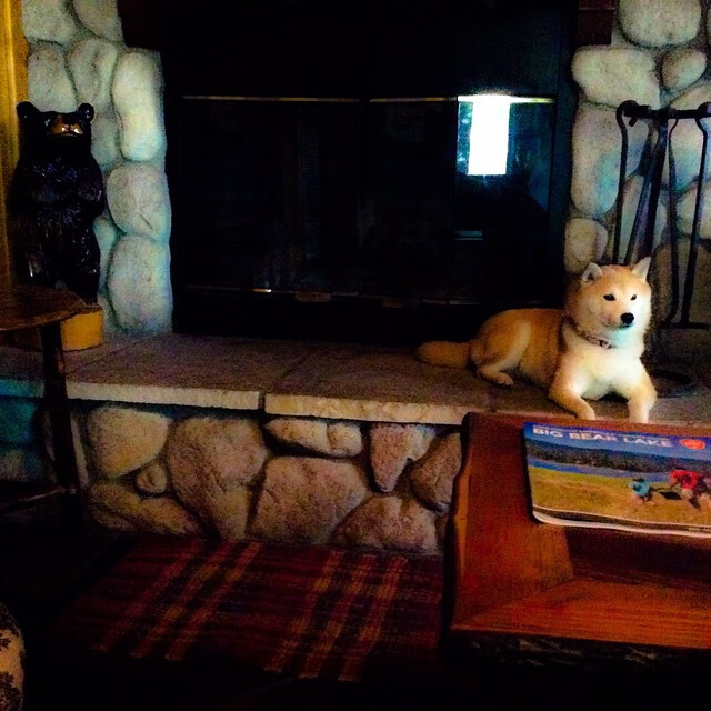 开云·Kaiyun网页版-荷兰队在欧洲预赛中表现出色，提前晋级希望升腾