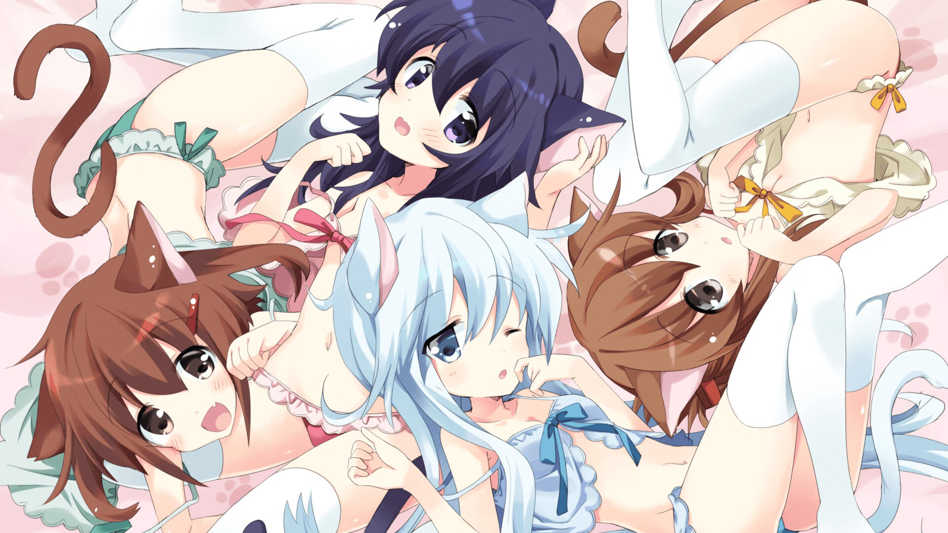 开云首页登录-跳水动作质量高奥地利获好评,奥运跳水澳大利亚