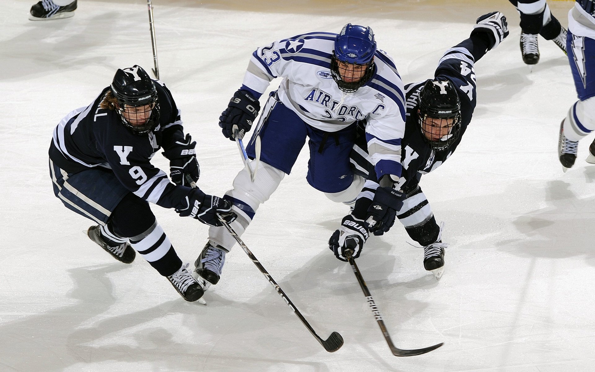 开云APP-德甲加大青训投入,未来天才不断涌现,德甲青训体系