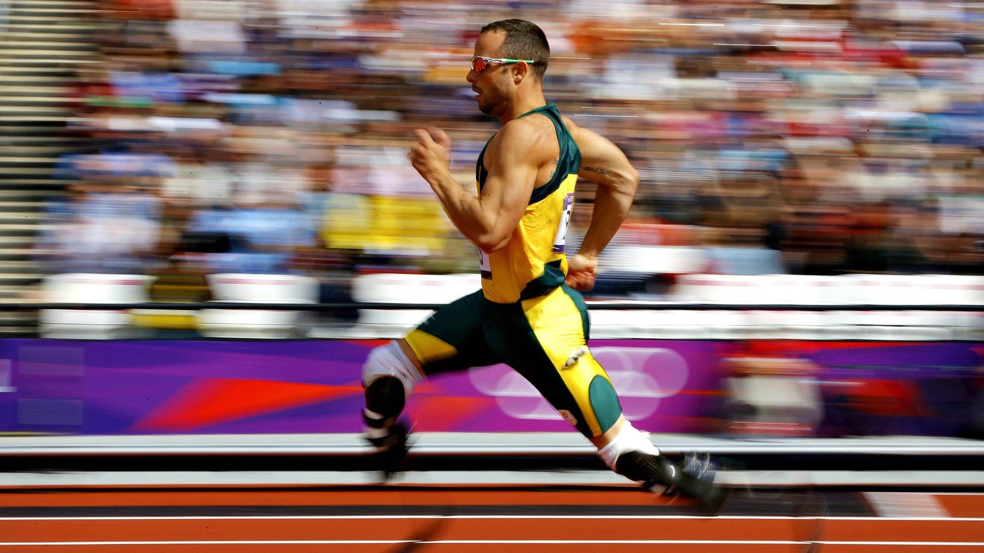 开云APP-特斯拉F1赛道全新布局揭秘,特斯拉赛车